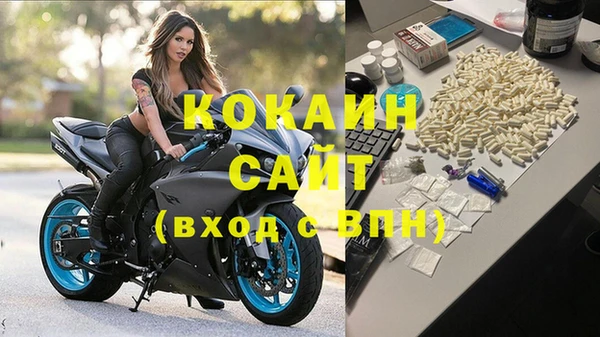 ГАЛЛЮЦИНОГЕННЫЕ ГРИБЫ Иннополис