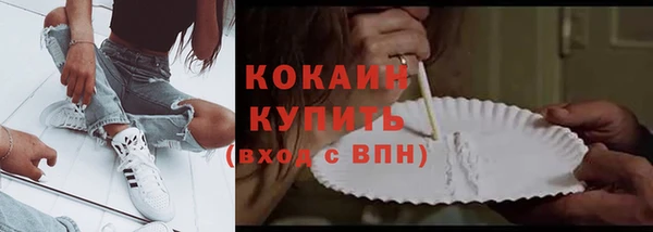 ГАЛЛЮЦИНОГЕННЫЕ ГРИБЫ Иннополис