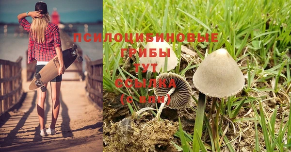 кокаин перу Чекалин