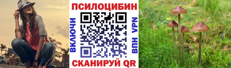 Галлюциногенные грибы мицелий Щёлково